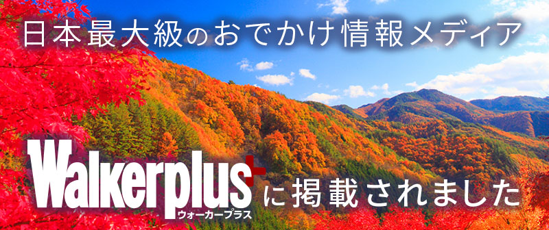 ウォーカープラス2026紅葉特集