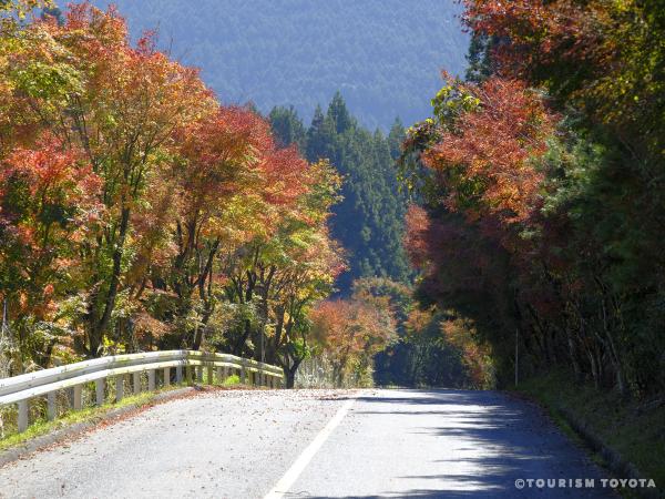 もみじ街道(加茂広域農道)
